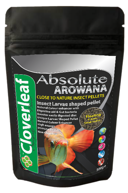 Absolute Aquarium Arowana Bug Diet 500g Cloverleaf