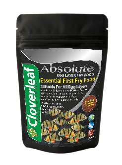 Absolute Aquarium Egg Layer Fry Food 50g Cloverleaf