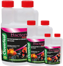 Cloverleaf Bacterial Answer Cloverleaf