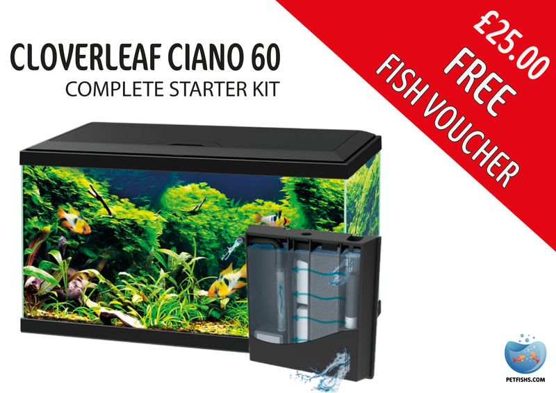 Cloverleaf Ciano 60 Complete Starter Kit (Available from store Only) Cloverleaf