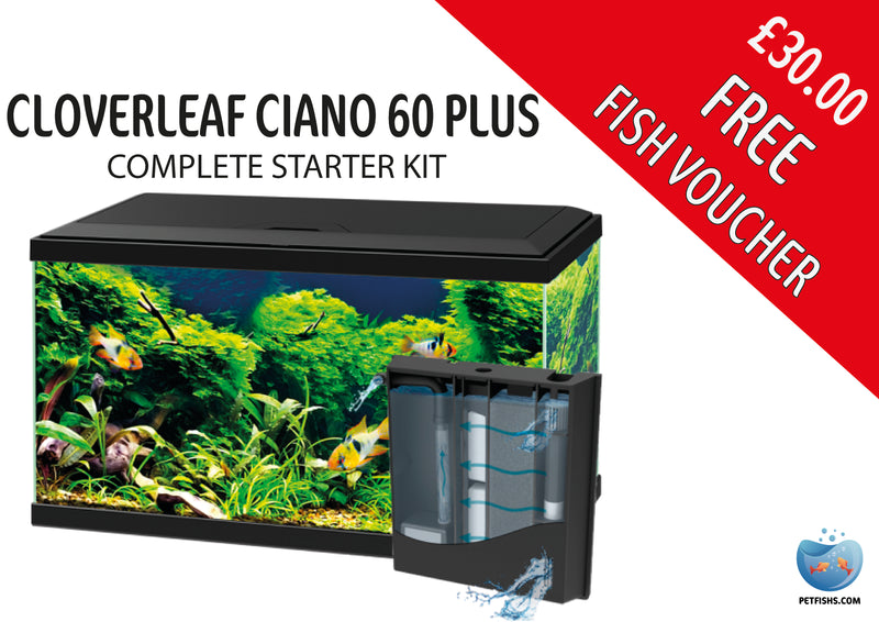Cloverleaf Ciano 60 Plus Complete Starter Kit (Available from store Only) Cloverleaf