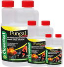 Cloverleaf Fungal Answer Cloverleaf
