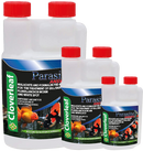 Cloverleaf Parasite Answer Cloverleaf