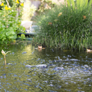 Blagdon Pond Oxygenator Kit For Medium Ponds up to 4000 litres (x4 Outlets) Kit Blagdon