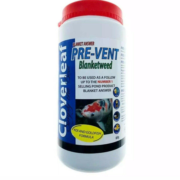 Cloverleaf Blanket Answer Pre Vent 800g Prevents the Return Of Nasty B