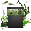 Juwel Rio 180 LED Aquarium + Cabinet (In Black). Juwel